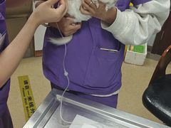 -瑞派·关忠动物医院·异宠专科·犬猫肿瘤·皮肤专科(望京店)