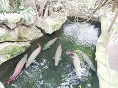 -青青世界