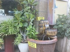 -茶油香·闽南菜(前埔店)