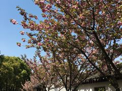 -花溪公园