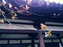-西安青龙寺遗址景区