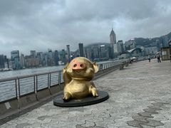 -星光大道