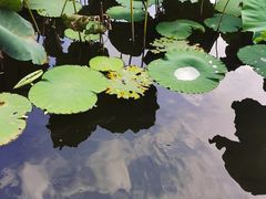 -福建博物院