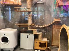 -至寅食·烧烤(南联店)