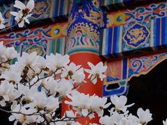 -皇罗禅寺
