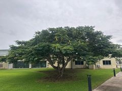 -美国纪念公园