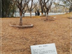 -丰台花园