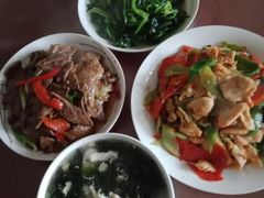 -田螺阿姨自营月嫂·育儿嫂(高新店)