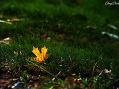 -北京宽沟会议中心