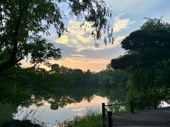 -新荣记(西溪湿地店)