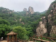 -大岭沟猕猴桃谷风景区