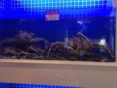 iphone_upload_pic-金苑海鲜酒家(来魅力店)