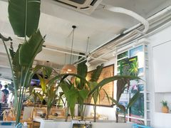 大堂-原味主张椰子鸡·脆皮文昌鸡煲(友谊广场店)
