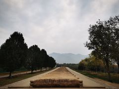 -秦始皇帝陵博物院-丽山园