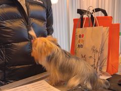 -帕帕拉兹宠物(亚洲旗舰店)