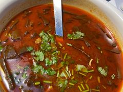 -院里寻菜·精致庭院菜(观沙岭店)