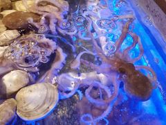 -诱货海鲜自助火锅(爱琴海购物公园东百店)