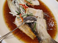 翘嘴鲌鱼-丹江渔村(望京店)