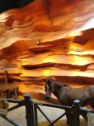 -酷嗒动物文化乐园(cutezoo西溪乐天城店)