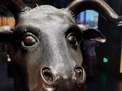 -广西壮族自治区博物馆