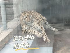 -攀枝花公园