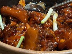 -望乡楼上海菜(日月光店)