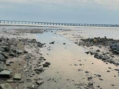 -宝安西湾红树林湿地公园