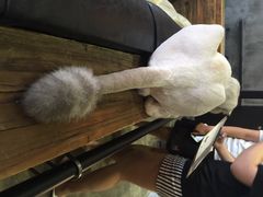 iphone_upload_pic-MIKAKU(万达广场上海宝山店)