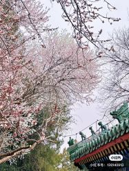 -美云庭古装·格格服汉服·京城旅拍(北京店)