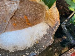 -王家渡火锅店(亦庄店)