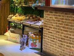 -横沥牛庄(总店)