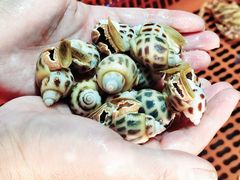 -巽寮印象美食部落餐厅·海鲜·地方特色菜(惠州体验店)