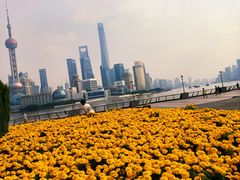 -陆家嘴世纪金融广场