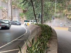 -九龙公园