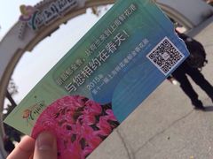 iphone_upload_pic-上海鲜花港