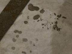 -上海凯宾斯基大酒店