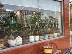 -亲昵春川鸡排(韩国美食街店)
