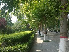 -赵州桥景区