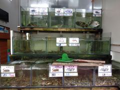 水产区-湘里湘亲饭店(闸坡店)