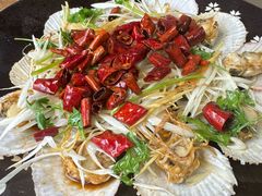 -鲁前海沿儿