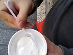 -洪馨椰子
