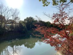 -上海海湾国家森林公园