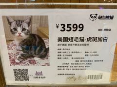 -龟与熊猫宠物公园(南坪店)