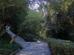 -龙头寺公园
