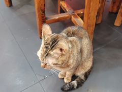 -老北京热气涮羊肉·小龙虾·烤鱼(呼玛路店)