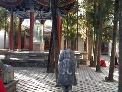 -总统兵马大元帅府