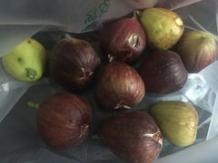 -成都美盈都市现代农业示范园