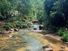 -广州白江湖森林公园