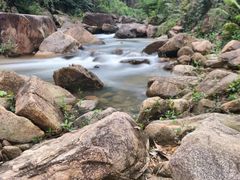 -广州白江湖森林公园