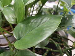 景观位-深山老屋(张江店)